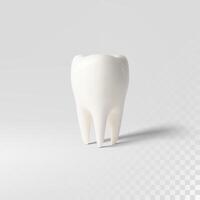 White tooth implant implant cut, healthy tooth or dental surgery. vector