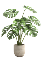 AI generated Monstera plant in pot isolated on transparent background png