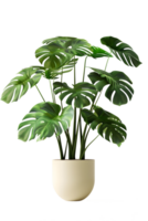 ai généré monstera plante dans pot isolé sur transparent Contexte png