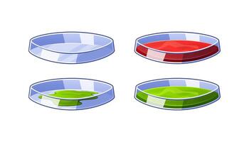 Petri dishes vector isolated on white background.