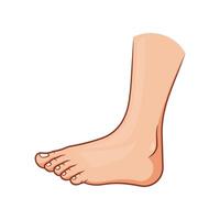 Side view of human foot vector isolated on white background.