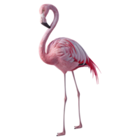 ai gegenereerd 3d renderen van een roze flamingo Aan transparant achtergrond - ai gegenereerd png