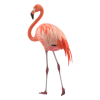 ai generiert 3d Rendern von ein Rosa Flamingo auf transparent Hintergrund - - ai generiert png