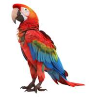 ai gegenereerd 3d renderen van een kleurrijk papegaai Aan transparant achtergrond - ai gegenereerd png