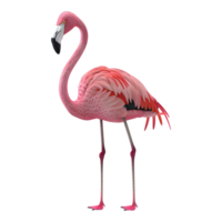 ai gegenereerd 3d renderen van een roze flamingo Aan transparant achtergrond - ai gegenereerd png