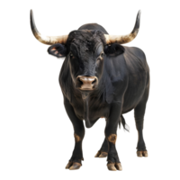 AI generated Spanish Black Bull on Transparent background - Ai Generated png