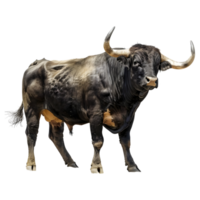 AI generated Spanish Black Bull on Transparent background - Ai Generated png