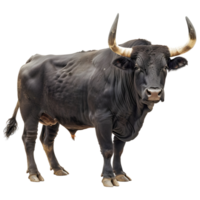 AI generated Spanish Black Bull on Transparent background - Ai Generated png