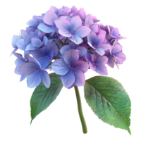 ai généré 3d le rendu de une hortensia fleur sur transparent Contexte - ai généré png