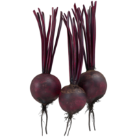 AI generated 3D Rendering of a Beetroot on Transparent Background - Ai Generated png