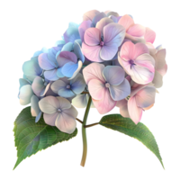 ai generado 3d representación de un hortensia flor en transparente antecedentes - ai generado png
