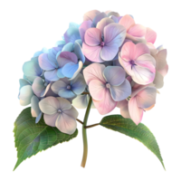 ai gerado 3d Renderização do uma hortênsia flor em transparente fundo - ai gerado png