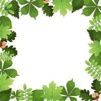 square empty frame with green leaves. vector illustration