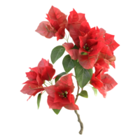 ai généré 3d le rendu de une bougainvilliers fleur sur transparent Contexte - ai généré png