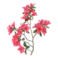 ai generato 3d interpretazione di un' bouganville fiore su trasparente sfondo - ai generato png