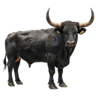 AI generated Spanish Black Bull on Transparent background - Ai Generated png