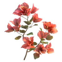 ai généré 3d le rendu de une bougainvilliers fleur sur transparent Contexte - ai généré png