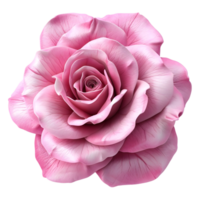 ai genererad 3d tolkning av en mynta reste sig eller rosa Färg blomma på transparent bakgrund - ai genererad png