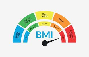 Body Mass Index Infographic Chart. Colorful BMI Chart Vector Illustration With White Isolated Background