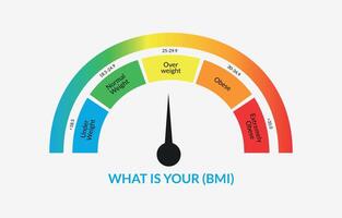 Body Mass Index Infographic Chart. Colorful BMI Chart Vector Illustration With White Isolated Background