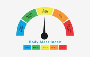 Body Mass Index Infographic Chart. Colorful BMI Chart Vector Illustration With White Isolated Background