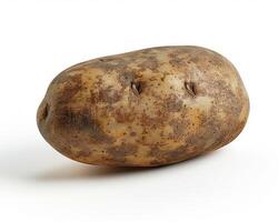 AI generated Fresh potato isolated on white background. Close-up Shot. photo