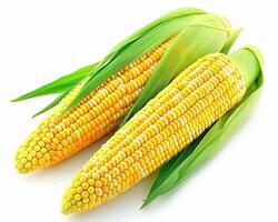 AI generated Fresh corn isolated on white background. Close-up Shot. photo