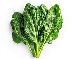 AI generated Fresh spinach isolated on white background. Close-up Shot. photo