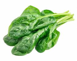 AI generated Fresh spinach isolated on white background. Close-up Shot. photo