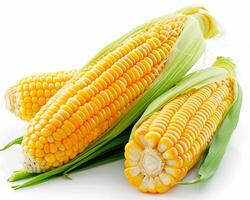 AI generated Fresh corn isolated on white background. Close-up Shot. photo