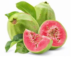AI generated Whole guava fruit with slice isolated on white background. Close-up Shot photo