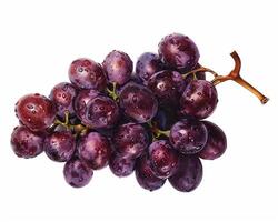 AI generated Bunch of fresh ripe red grapes isolated on white background. Close-up Shot. photo