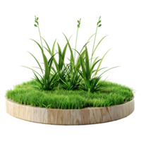 AI generated 3D Rendering of a Grass in a Round podium shape on Transparent Background - Ai Generated png