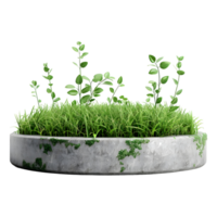 AI generated 3D Rendering of a Grass in a Round podium shape on Transparent Background - Ai Generated png