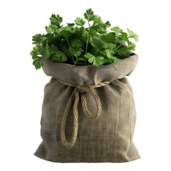 ai generado 3d representación de un perejil en un bolso en transparente antecedentes - ai generado png