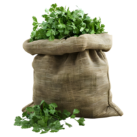 AI generated 3D Rendering of a Parsley in a Bag on Transparent Background - Ai Generated png