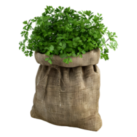 AI generated 3D Rendering of a Parsley in a Bag on Transparent Background - Ai Generated png