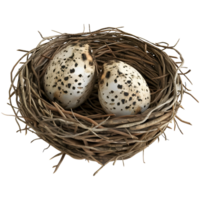 AI generated 3D Rendering of a Nest of Eggs on Transparent Background - Ai Generated png