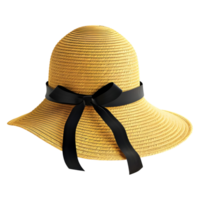 AI generated 3D Rendering of a Beach Sunblock Hat on Transparent Background - Ai Generated png