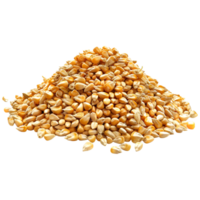 AI generated 3D Rendering of a Pearl Barley or Wheat on Transparent Background - Ai Generated png