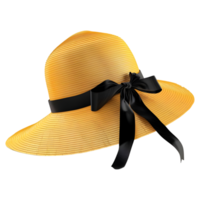 AI generated 3D Rendering of a Beach Sunblock Hat on Transparent Background - Ai Generated png