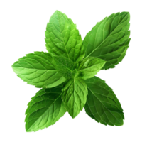 AI generated 3D Rendering of a Green Leaf's on Transparent Background - Ai Generated png