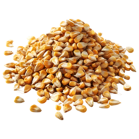 AI generated 3D Rendering of a Pearl Barley or Wheat on Transparent Background - Ai Generated png