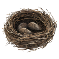 ai generato 3d interpretazione di un' nido di uova su trasparente sfondo - ai generato png
