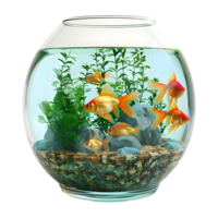 ai generiert 3d Rendern von ein Aquarium auf transparent Hintergrund - - ai generiert png