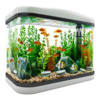 ai genererad 3d tolkning av en akvarium på transparent bakgrund - ai genererad png