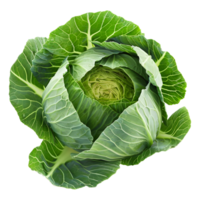 AI generated 3D Rendering of a Green Cabbage on Transparent Background - Ai Generated png