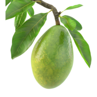 ai generato 3d interpretazione di un' verde Mango con le foglie su trasparente sfondo - ai generato png