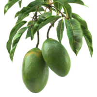 ai gegenereerd 3d renderen van een groen mango met bladeren Aan transparant achtergrond - ai gegenereerd png