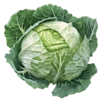 AI generated 3D Rendering of a Green Cabbage on Transparent Background - Ai Generated png